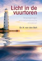 Licht op de vuurtoren - H. van den Belt - ebook