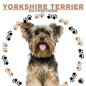 Yorkshire Terrier Kalender 2026