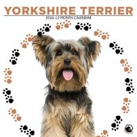 Yorkshire Terrier Kalender 2026