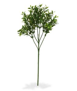 Buxus kunsttak 50cm