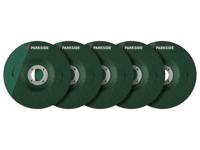 PARKSIDE Haakse slijper accessoires (Slijpschijven 5-delig)