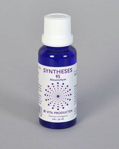 Syntheses 95 mesenchym