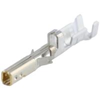 Molex 2064600042 Micro-Fit Plus Fem T 2064600042 Molex Inhoud: 1 stuk(s)