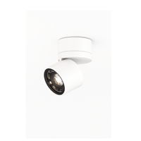 B.lux - Sis C D60 26º Spotlicht