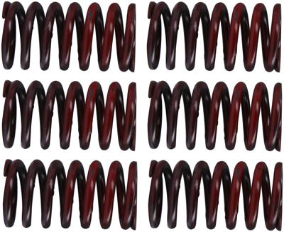 TRW koppelingsveren set clutch spring kit mef317-6
