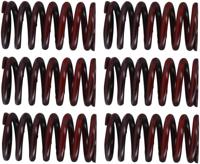 TRW koppelingsveren set clutch spring kit mef317-6