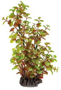 Superfish Art Plant Rotala 25cm - Onderhoudsvrije Aquarium Kunstplant, Veilig & Realistisch