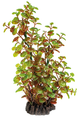 Superfish Art Plant Rotala 25cm - Onderhoudsvrije Aquarium Kunstplant, Veilig & Realistisch