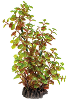 Superfish Art Plant Rotala 25cm - Onderhoudsvrije Aquarium Kunstplant, Veilig & Realistisch