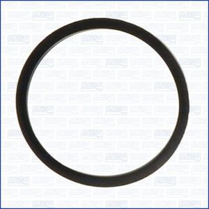 Pakking, thermostaat 00522800
