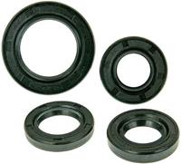 101 OCTANE Simmerring set 101.octane chinaroller 139qma/qmb
