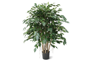 DesignPlants: Ficus Exotica XL Kunstplant 110cm - Groen