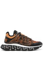 Versace baskets Trigreca en cuir - Marron