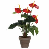 Kunstplant Anthurium rood in grijze pot 40 cm - thumbnail