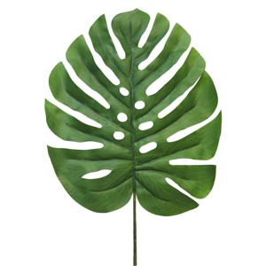 Nova Nature - (Best) Monstera leaf Futura lvs small 90cm green