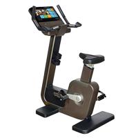 Technogym hometrainer Artis Bike Unity 3.0 bruin gebruikt