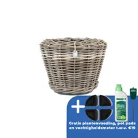 Drypot terrasmand d43h33cm