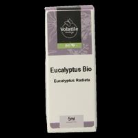 Volatile Eucalyptus radiata bio 5 Milliliter