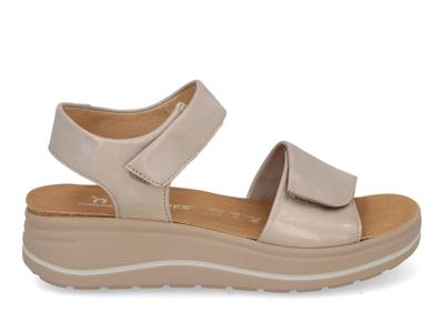 Hartjes Woogie 132.2002 rose Rose maat 40