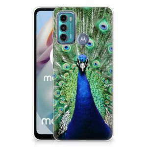 Motorola Moto G60 TPU Hoesje Pauw