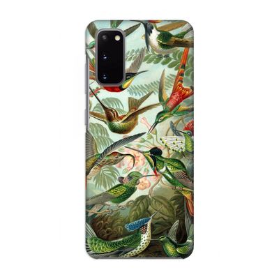 Haeckel Trochilidae: Volledig geprint Samsung Galaxy S20 Hoesje