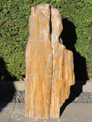 Versteend hout 250311, 77 cm