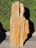 Versteend hout 250311, 77 cm