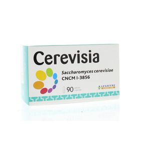 Cerevisia