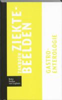 Zakboek ziektebeelden (Paperback)