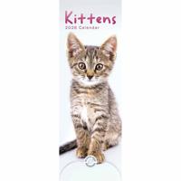 Kittens Kalender 2026 Slimline