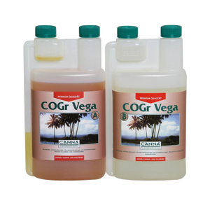 Canna Canna COGr Vega