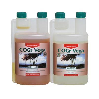Canna Canna COGr Vega