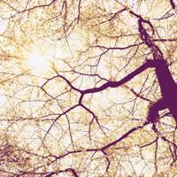 Noordwand Komar Munich Design Fotobehang Sunshine - V5-752