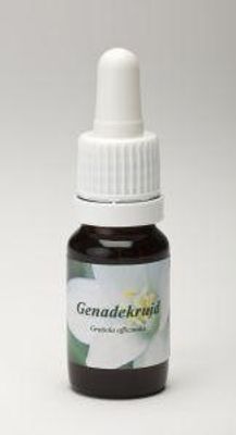 Genadekruid