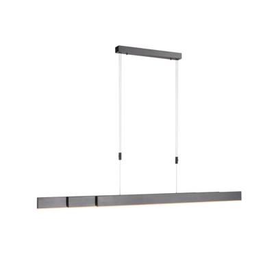 Paul Neuhaus Led hanglampPure-Moto geborsteld antraciet - 2525-15