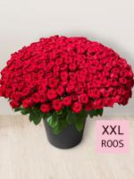 Boeket van 365 rode rozen - Red Naomi