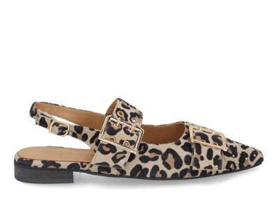 Babouche G-Soya-2 leopardo multi bruin maat 39