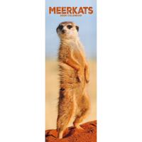 Stokstaartjes Kalender 2026 Slimline