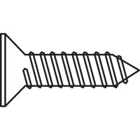 TOOLCRAFT 194665 HC2,9*9,5 D7982:A2K Verzonken plaatschroeven 2.9 mm 9.5 mm Kruiskop Phillips DIN 7982 Staal Verzinkt 100 stuk(s)