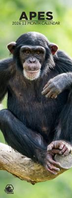 Apen Slimline Kalender 2026