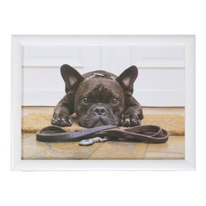 Laptray/schoottafel schattige Franse bulldog honden print 43 x 33 cm   -