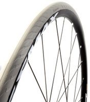 Tannus buitenband New Slick Airless 28 x 1.00 (25-622) grijs - thumbnail