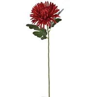 Spinchrysantsteel l65cm rood