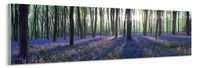 Karo-art Schilderij -Lavendel in het bos, 120x40cm. Wanddecoratie, premium print