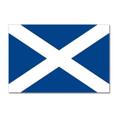 Vlag Schotland - 90 x 150 cm - Schotse Vlag - Scotland