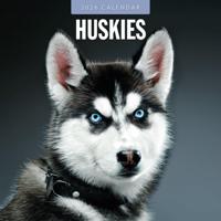 Husky Kalender 2026