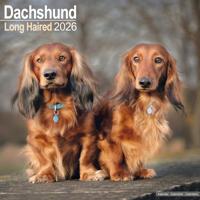 Teckel Langhaar Kalender 2026