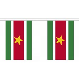 Polyester vlaggenlijn van Suriname 3 meter   -