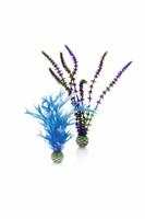 Plantenset medium blauw & paars - Biorb