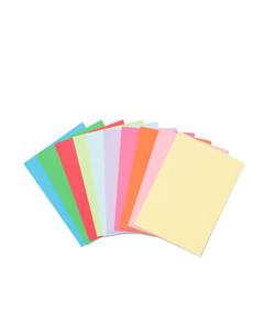 HEMA Kopieerpapier Kleur A4 - 250 Vellen